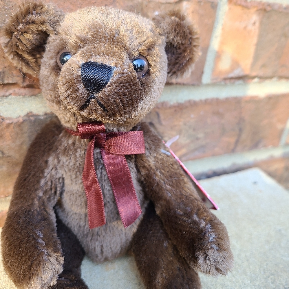 🐻 Vintage NWT Aurora Teddy Original